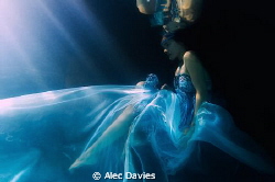 Elsa Bleda shot in pool. Underwater strobe triggered flas... by Alec Davies 